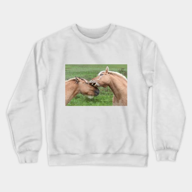 Fjord horses playing Crewneck Sweatshirt by Jim Cumming